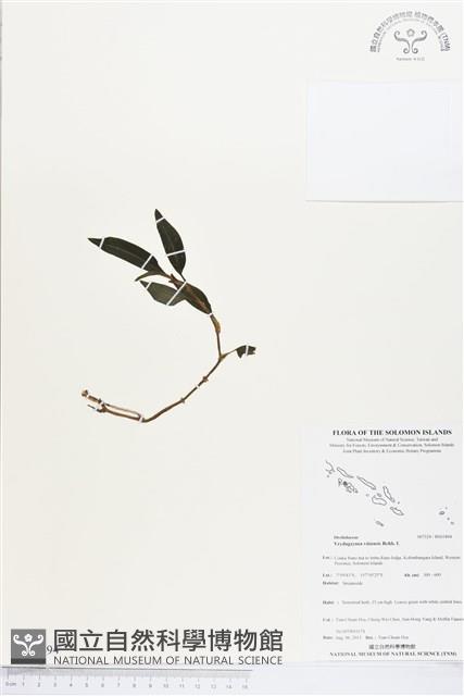 登錄號:BS03494藏品圖，第1張