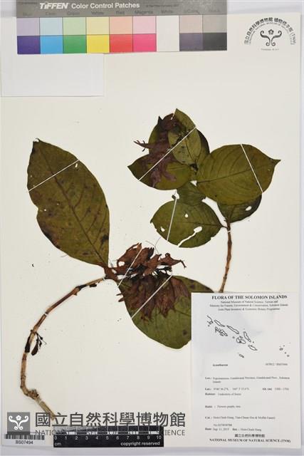 登錄號:BS07494藏品圖，第1張