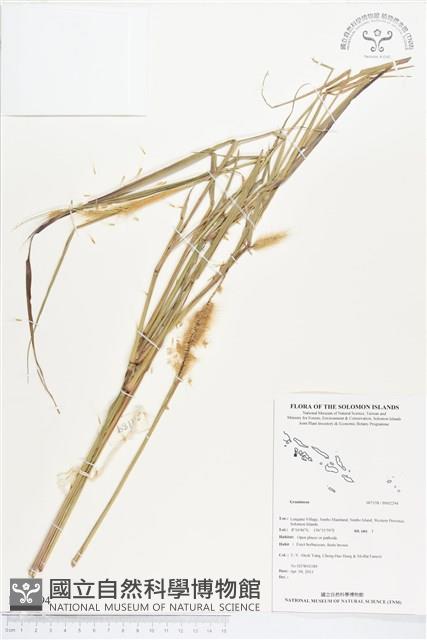 登錄號:BS02294藏品圖，第1張