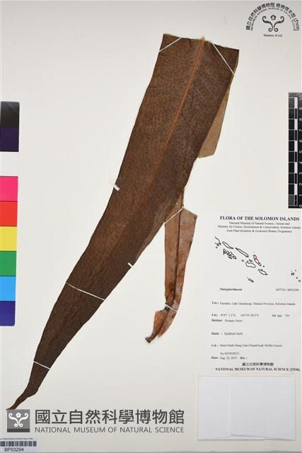 登錄號:BP03294藏品圖，第1張