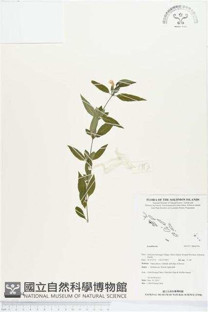 登錄號:BS02794藏品圖，第1張