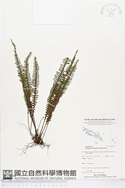 登錄號:BP01794藏品圖，第1張