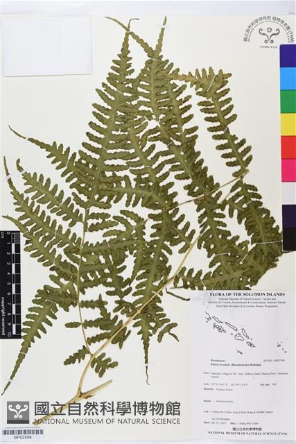 登錄號:BP02594藏品圖，第1張