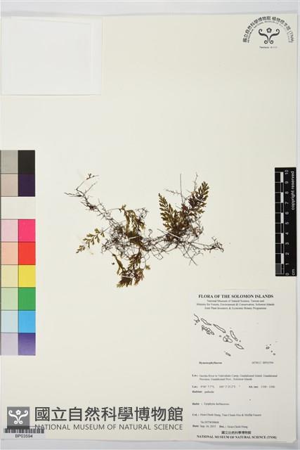 登錄號:BP03594藏品圖，第1張