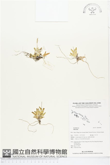 登錄號:BS02994藏品圖，第1張