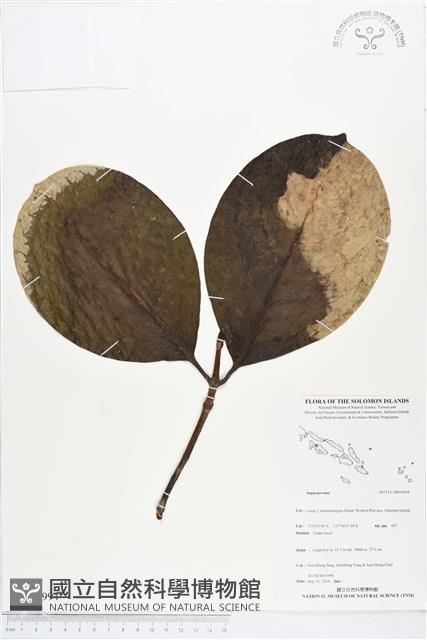 登錄號:BS04994藏品圖，第1張