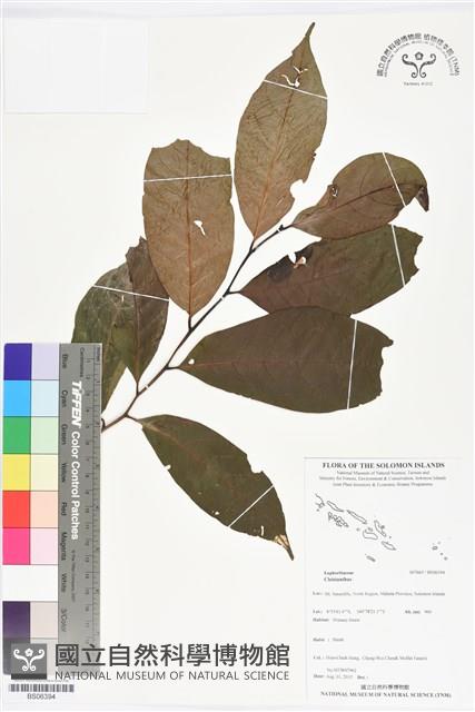 登錄號:BS06394藏品圖，第1張