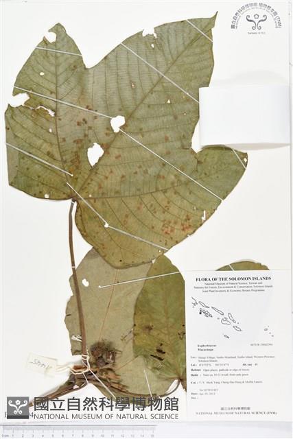 登錄號:BS02394藏品圖，第1張