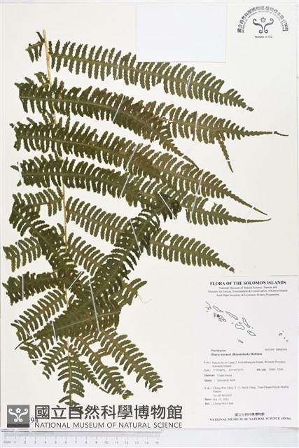 登錄號:BP00394藏品圖，第1張