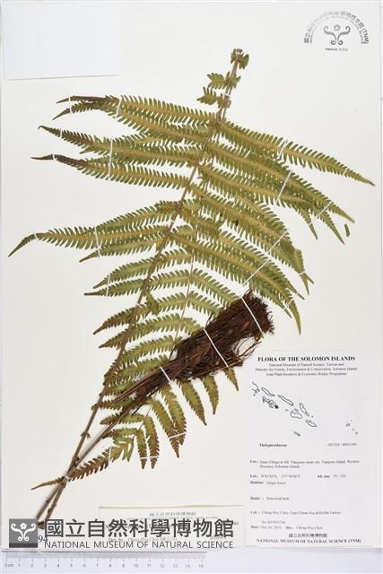 登錄號:BP01394藏品圖，第1張