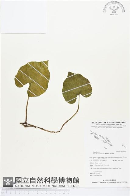 登錄號:BS03394藏品圖，第1張