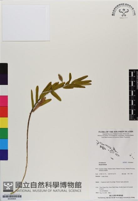 登錄號:BS06864藏品圖，第1張