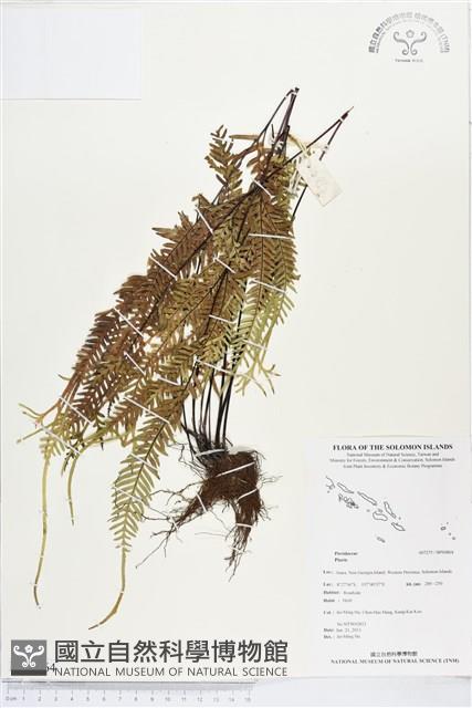 登錄號:BP00864藏品圖，第1張