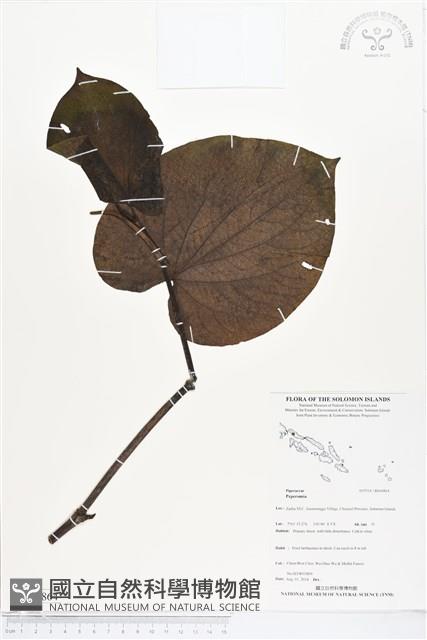 登錄號:BS04864藏品圖，第1張