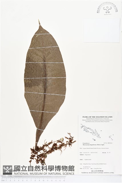 登錄號:BP02064藏品圖，第1張