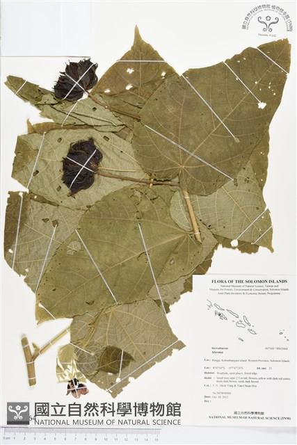 登錄號:BS02064藏品圖，第1張