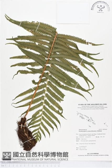 登錄號:BP00064藏品圖，第1張