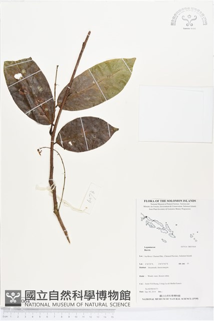 登錄號:BS05064藏品圖，第1張