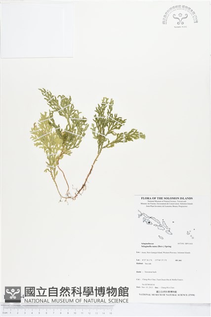 登錄號:BP01664藏品圖，第1張