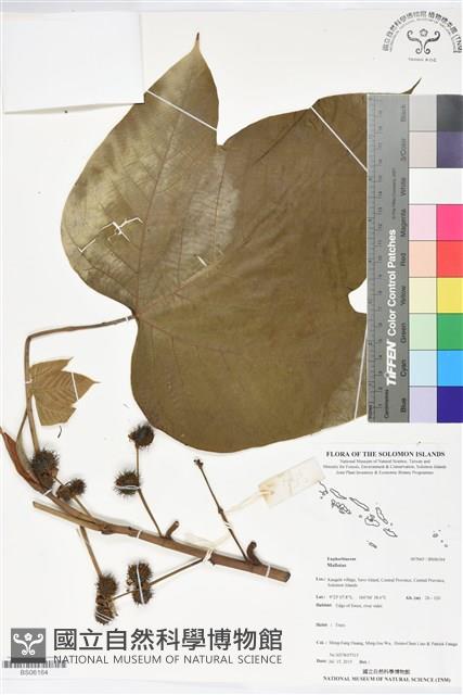 登錄號:BS06164藏品圖，第1張