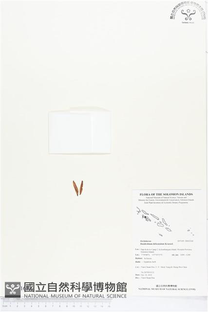 登錄號:BS02164藏品圖，第1張