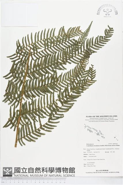 登錄號:BP00164藏品圖，第1張