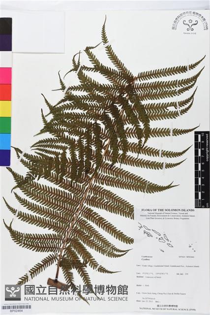 登錄號:BP02464藏品圖，第1張