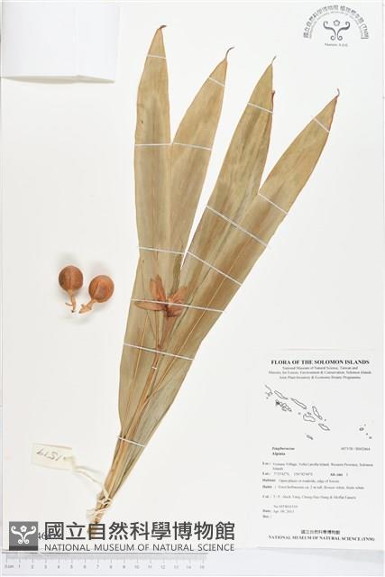 登錄號:BS02464藏品圖，第1張