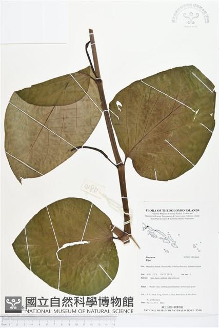 登錄號:BS04464藏品圖，第1張