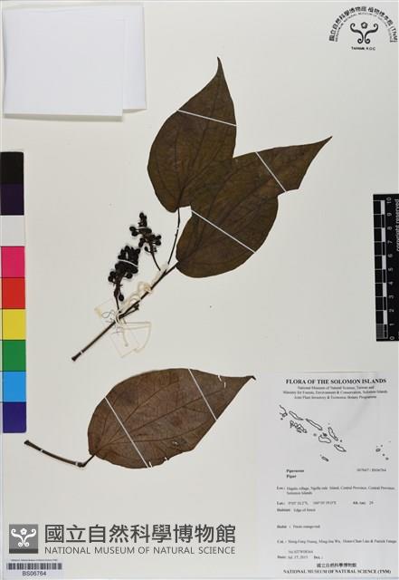 登錄號:BS06764藏品圖，第1張
