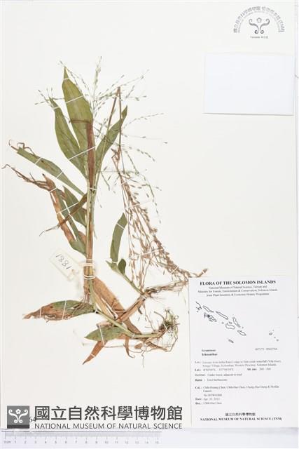 登錄號:BS02764藏品圖，第1張