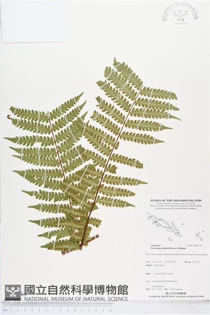 登錄號:BP01764藏品圖，第1張