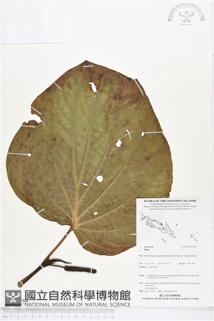 登錄號:BS04764藏品圖，第1張