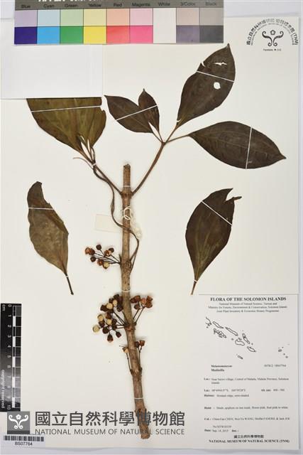 登錄號:BS07764藏品圖，第1張