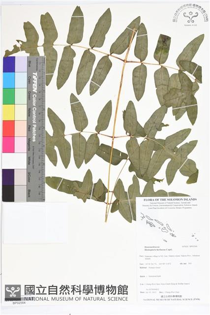 登錄號:BP02564藏品圖，第1張
