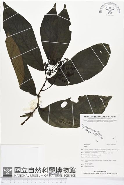 登錄號:BS02564藏品圖，第1張
