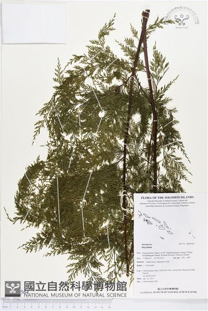 登錄號:BP00564藏品圖，第1張