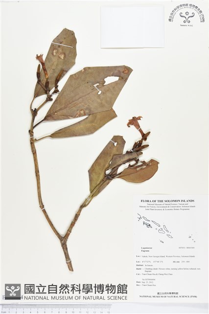 登錄號:BS01564藏品圖，第1張
