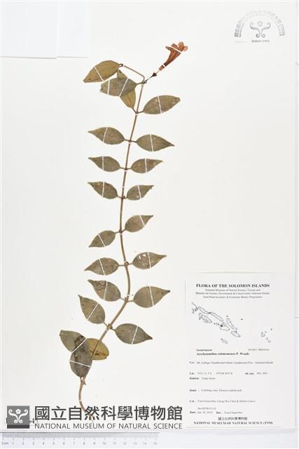 登錄號:BS04564藏品圖，第1張