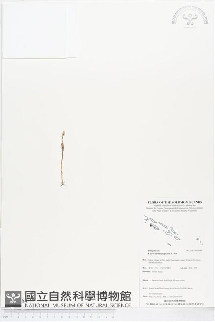 登錄號:BS03564藏品圖，第1張