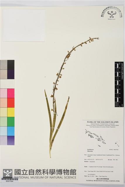 登錄號:BS07564藏品圖，第1張