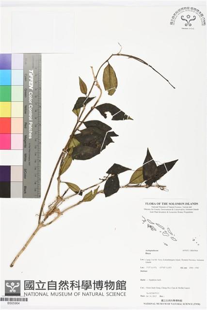 登錄號:BS05964藏品圖，第1張