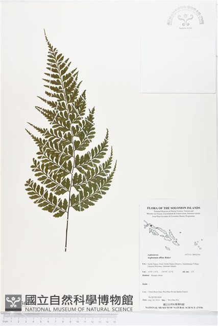 登錄號:BP02364藏品圖，第1張