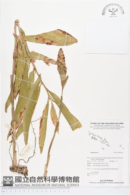 登錄號:BS02364藏品圖，第1張