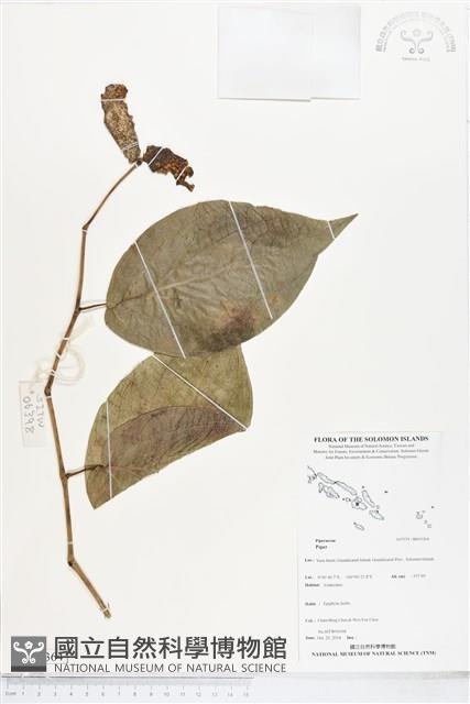 登錄號:BS05364藏品圖，第1張