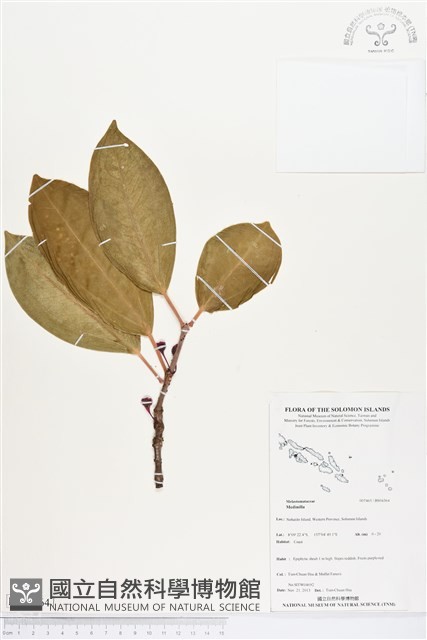 登錄號:BS04364藏品圖，第1張