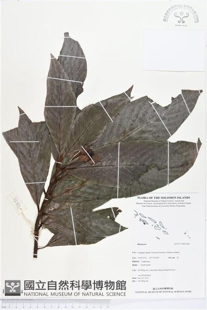 登錄號:BS03364藏品圖，第1張