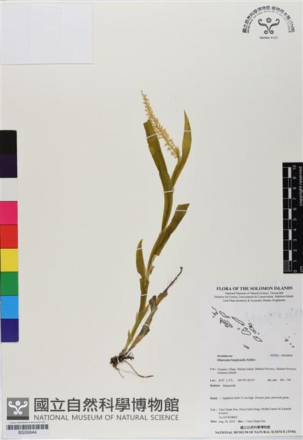 登錄號:BS06844藏品圖，第1張