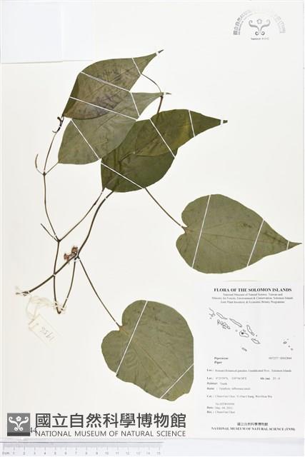 登錄號:BS02844藏品圖，第1張