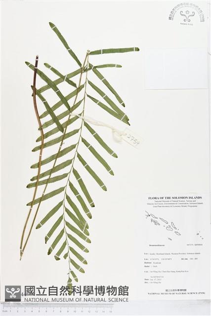 登錄號:BP00844藏品圖，第1張